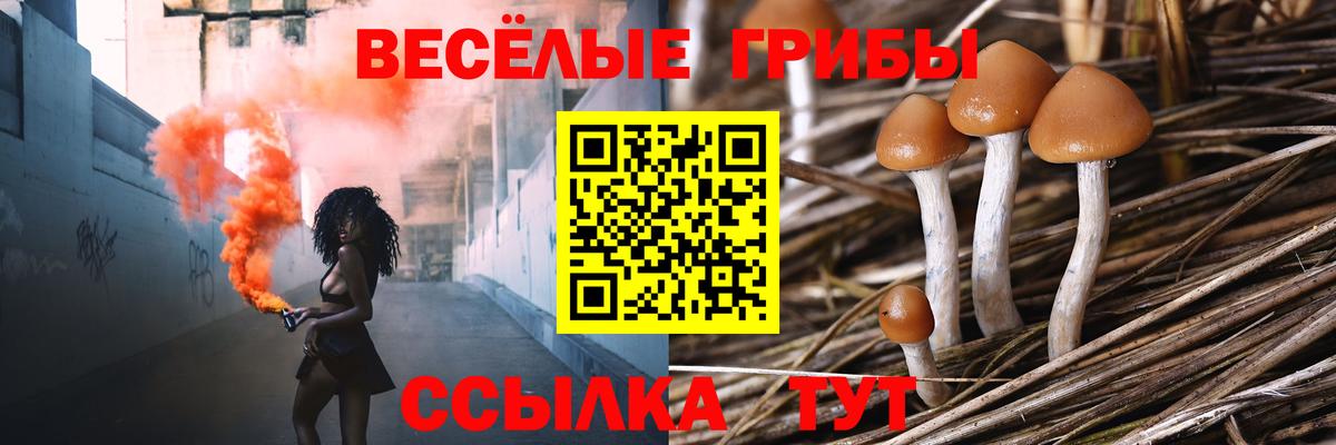 Псилоцибиновые грибы GOLDEN TEACHER Керчь